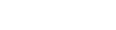 Torso