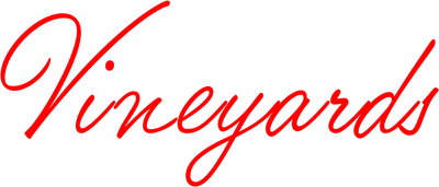Holiday in the Vineyards