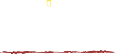 Primal Survivor