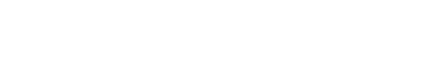 Disconnect - Il wedding planner