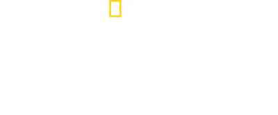 Turisti curiosi con Bob e Mack
