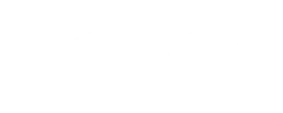 Voice