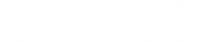100 Rifles