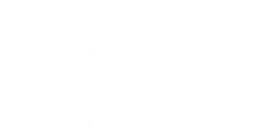 The Circus