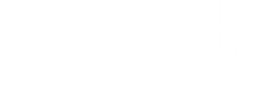 Bruce Lee, the Legend