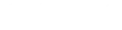 The Snow Sister
