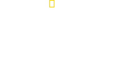 La dinastia Kim